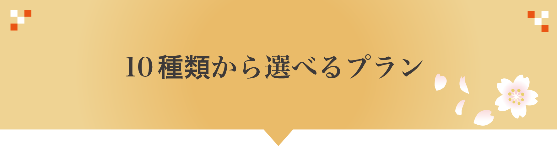 10種類から選べるプラン